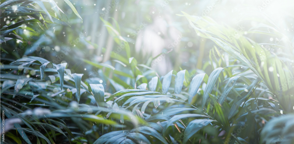 Obraz premium green leafs dark nature background