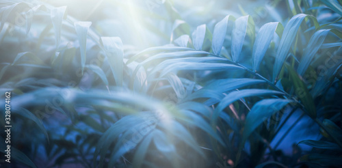 green leafs dark nature background