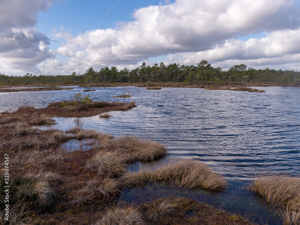 View of the peat bog lake on a sunny day,