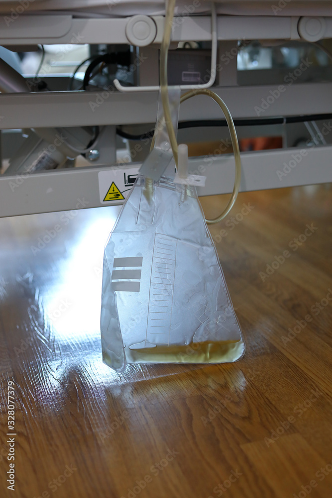 urinary catheterization bag of drainage for patient Stock Photo Adobe