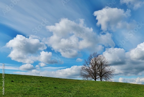 Dynamischer Wolkenhimmel mit Bäumen