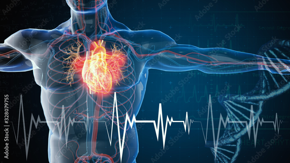 3d rendered illustration of heart attack and heart disease 3D illustration - obrazy, fototapety, plakaty 