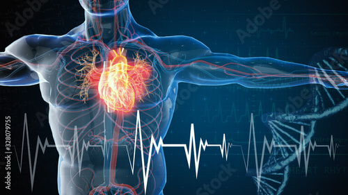 3d rendered illustration of heart attack and heart disease 3D illustration photo