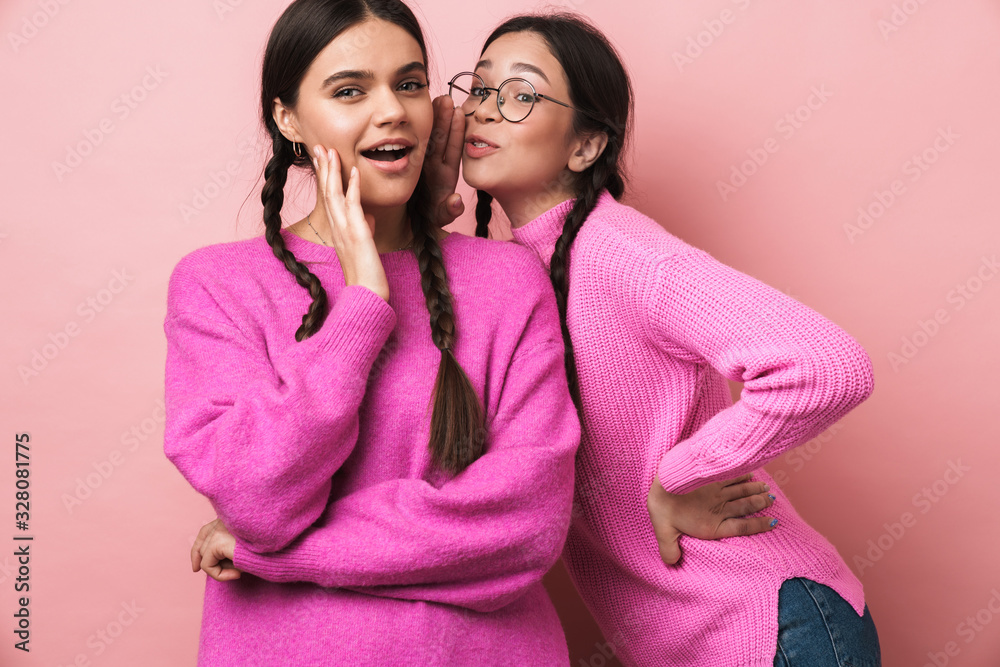 Image of two happy teenage girls with braids gossiping together Image of two happy teenage girls with braids gossiping together