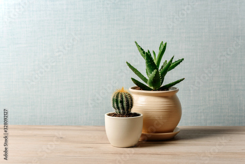 Cactus and aloe in flower pots on the table on a light background with space for text.