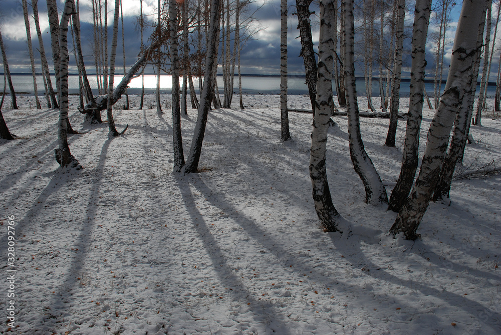 The road in the forest after the first snow. The road in the forest after the first snow.