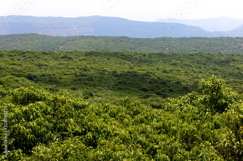 dense green forest at Connaught Peak or mount olympia in Mahabaleshwar Maharashtra sahyadri ranges seen in multiple layers on a sunny day indeed a popular tourist spot