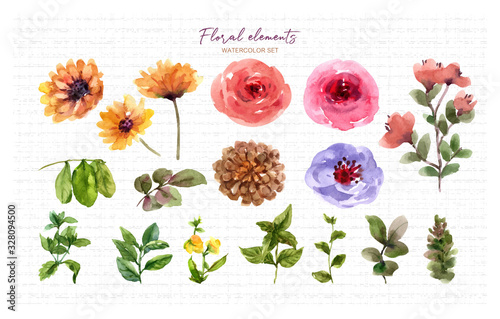 Floral elements watercolor set