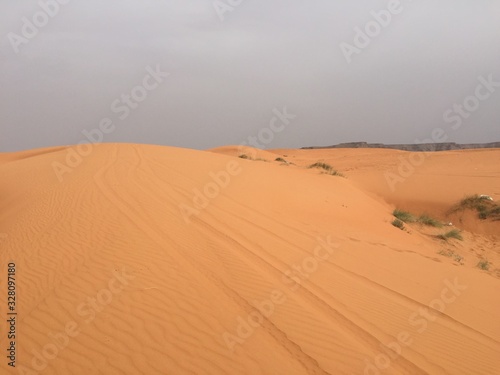 Saudi Arabia  desert  dune