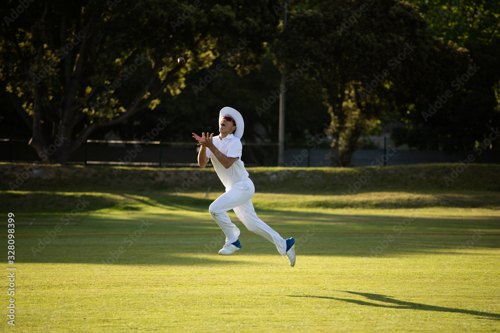 Cricket player trying to catch a cricket ball on the pitch