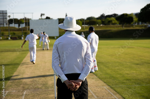 Cricket umpire watching the players during match