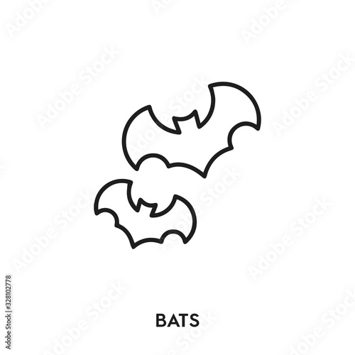 bats vector line icon. Simple element illustration. bats icon for your design.