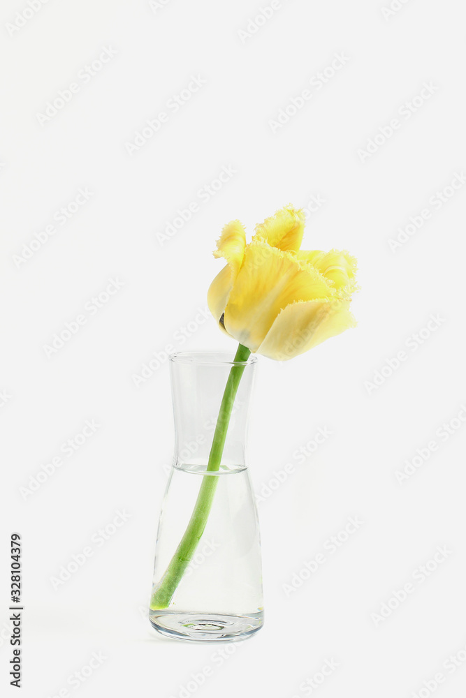 minimalistic floral arrangement. yellow tulip in a vase on a white background minimalistic floral arrangement. yellow tulip in a vase on a white background