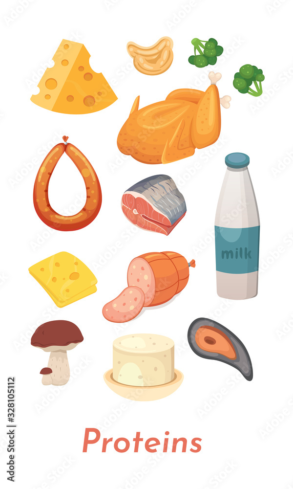 Protein food set. Vector proteins collection. Diet, delicious meal: meat, fish, milk, cheese and outhers.