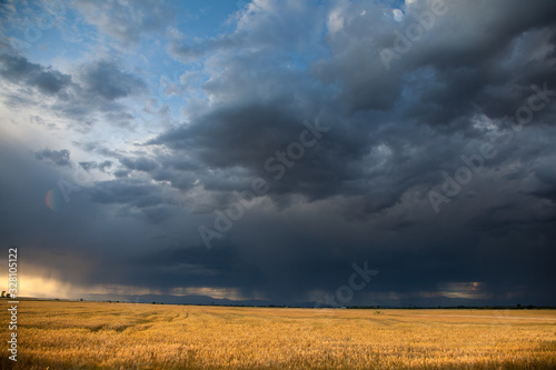 Wheat Field with Coming Storm