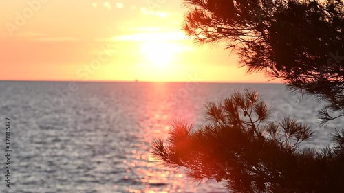 Gorgeous sunset through a pine tree on the Mediterranean coast