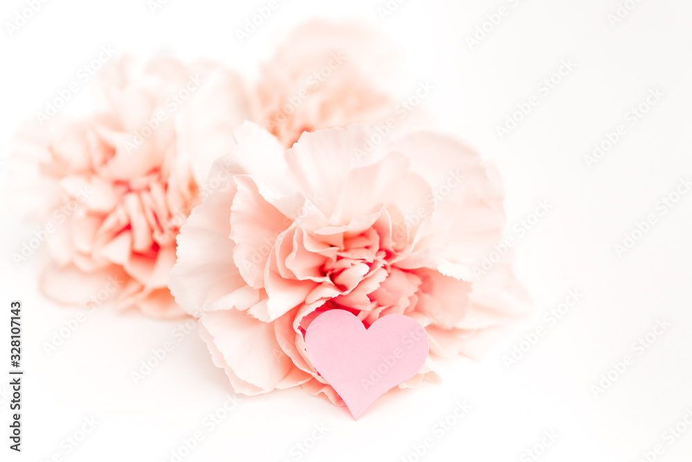 Pink clove isolated on white background with heart symbol of love Pink clove isolated on white background with heart symbol of love