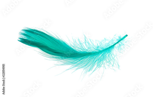 Elegant green feather isolated on the white
