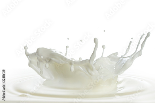 pouring of milk splash isolated white background