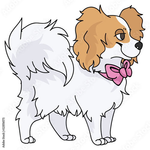 Cute cartoon papillon dog with pink bow vector clipart. Pedigree kennel doggie breed for dog lovers. Purebred domestic puppy for pet parlor illustration mascot. Isolated canine fluffy. EPS 10. 