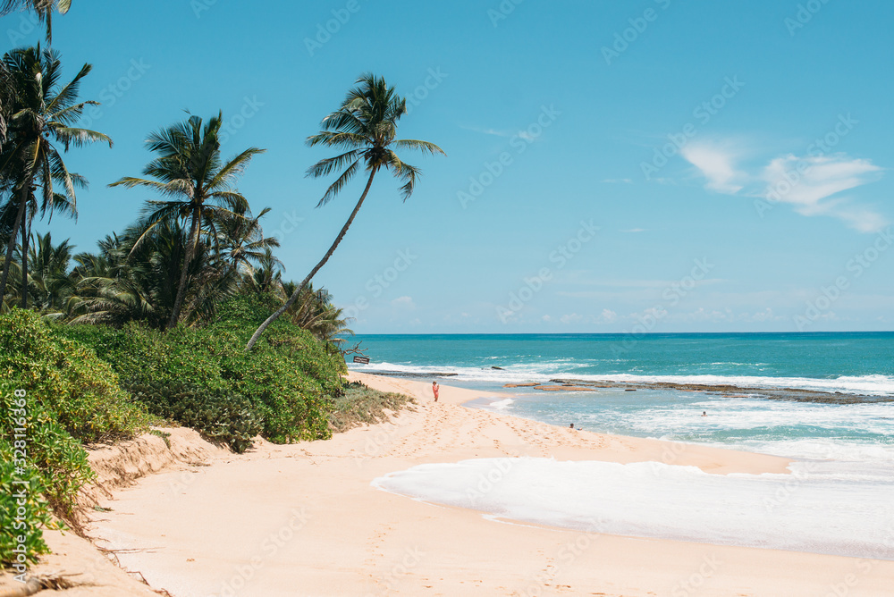 View of a sandy beach with palm trees, Sri Lanka