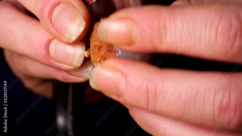 Hands and fingers are seen peeling the shell off a refreshing lychee - close up
