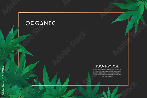 Cannabis green leaves framework. Poster, flyer template universal design
