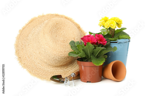 Flowers, gardening tools and straw hat isolated on white background