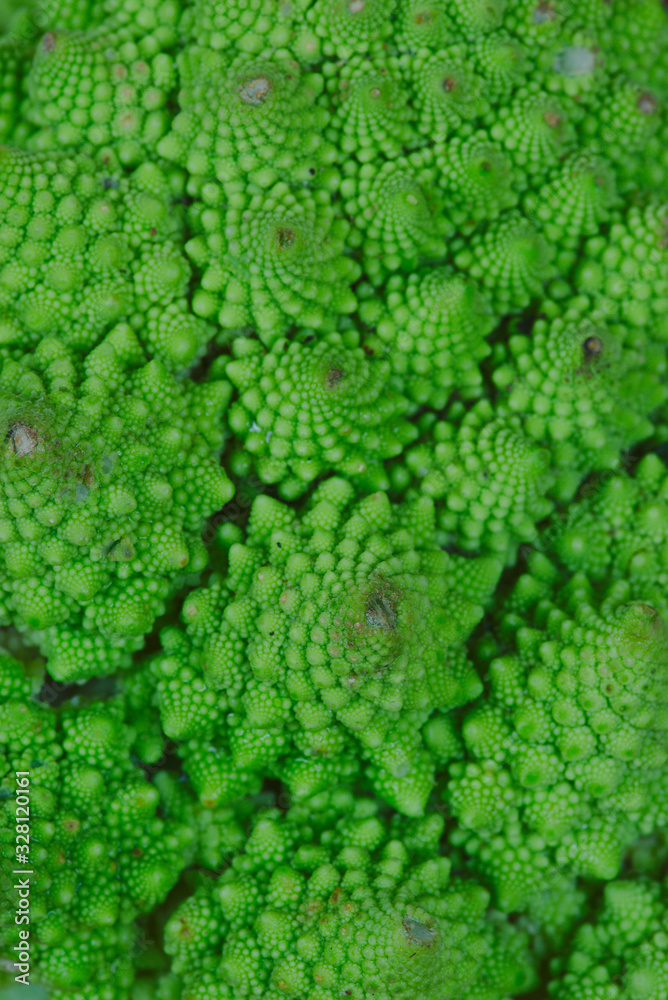 macro view of a Romanesco cabbage macro view of a Romanesco cabbage
