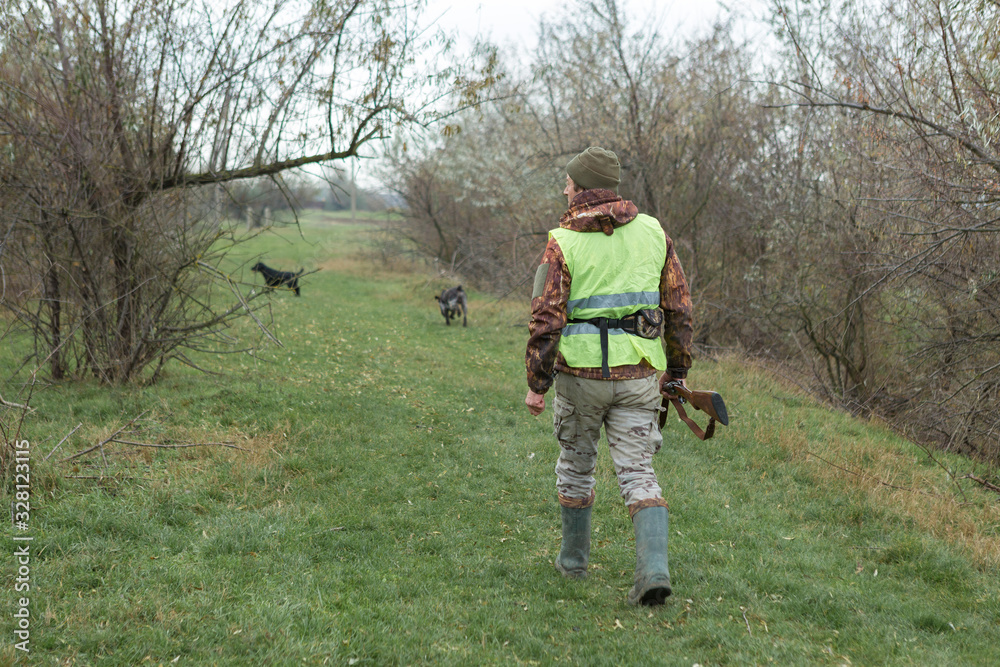Hunting period, autumn season open. A hunter with a gun in his hands in hunting clothes in the autumn forest in search of a trophy. A man stands with weapons and hunting dogs tracking down the game... Hunting period, autumn season open. A hunter with a gun in his hands in hunting clothes in the autumn forest in search of a trophy. A man stands with weapons and hunting dogs tracking down the game...