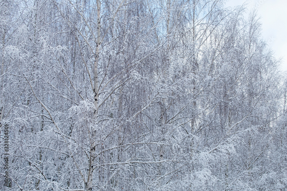 Abstract winter composition. Snow on the tree branches. Abstract winter composition. Snow on the tree branches.