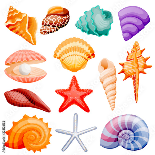 Seashells collection. Vector flat cartoon illustration. Summer travel design elements, isolated on white background photo