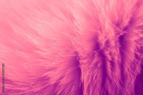 Delicate abstract fluffy background. Glamours pink fur backdrop.