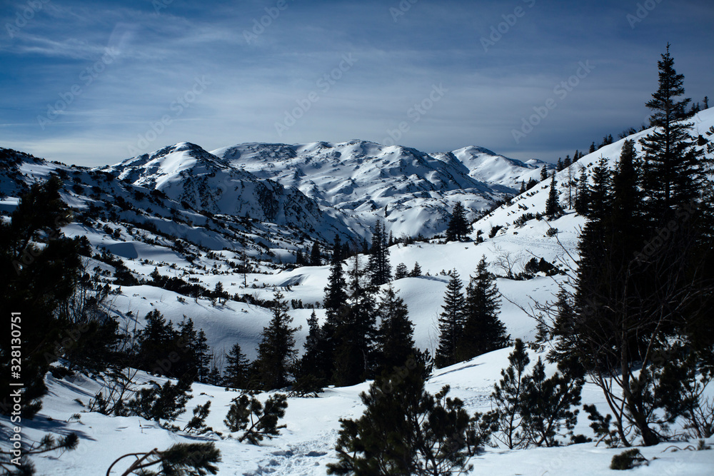 Paisaje nevado con pinos y montañas de fondo 