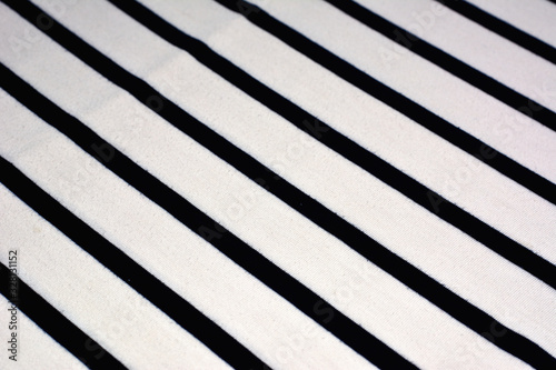 Black and white cotton fabric color.