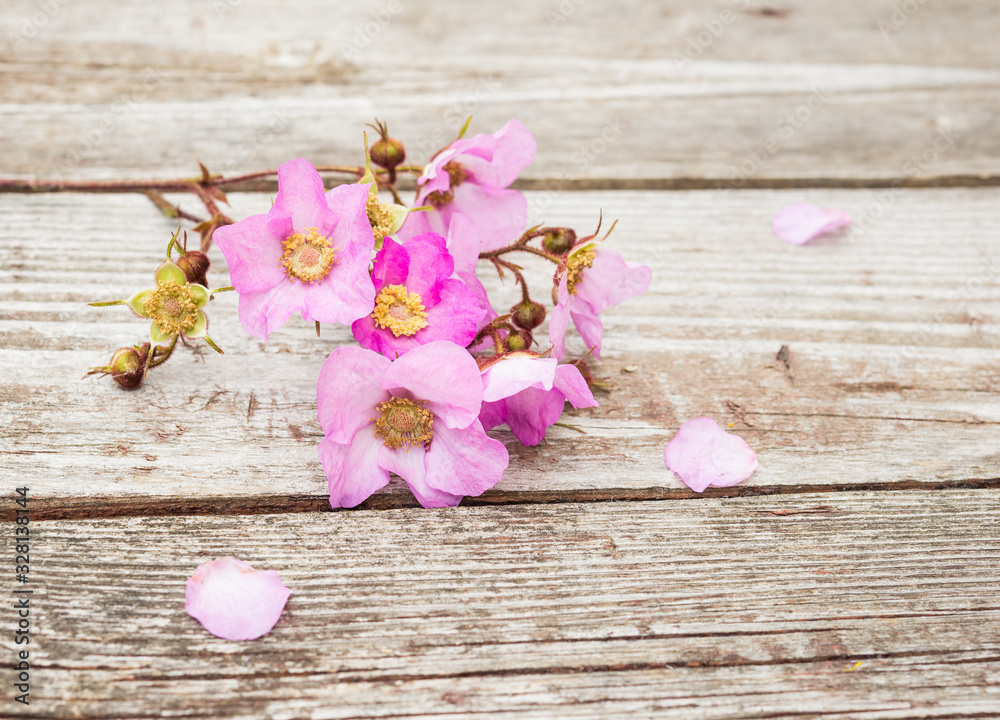 Pink Flowers and Petals on rustic old wooden table. Vintage Floral background. Pink Flowers and Petals on rustic old wooden table. Vintage Floral background.