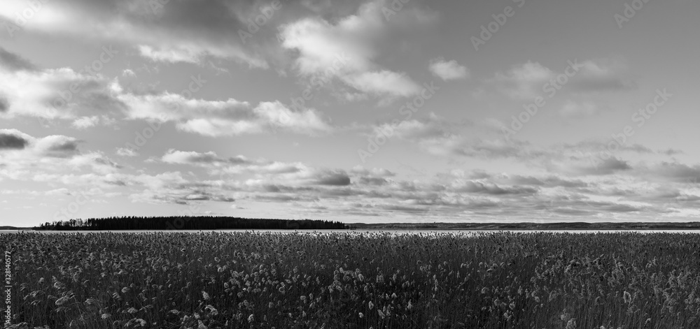 Obraz premium Black and white finnish landscape