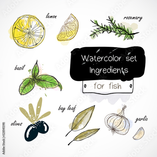Watercolor set of herbs and spices drawn by hand on a white background.