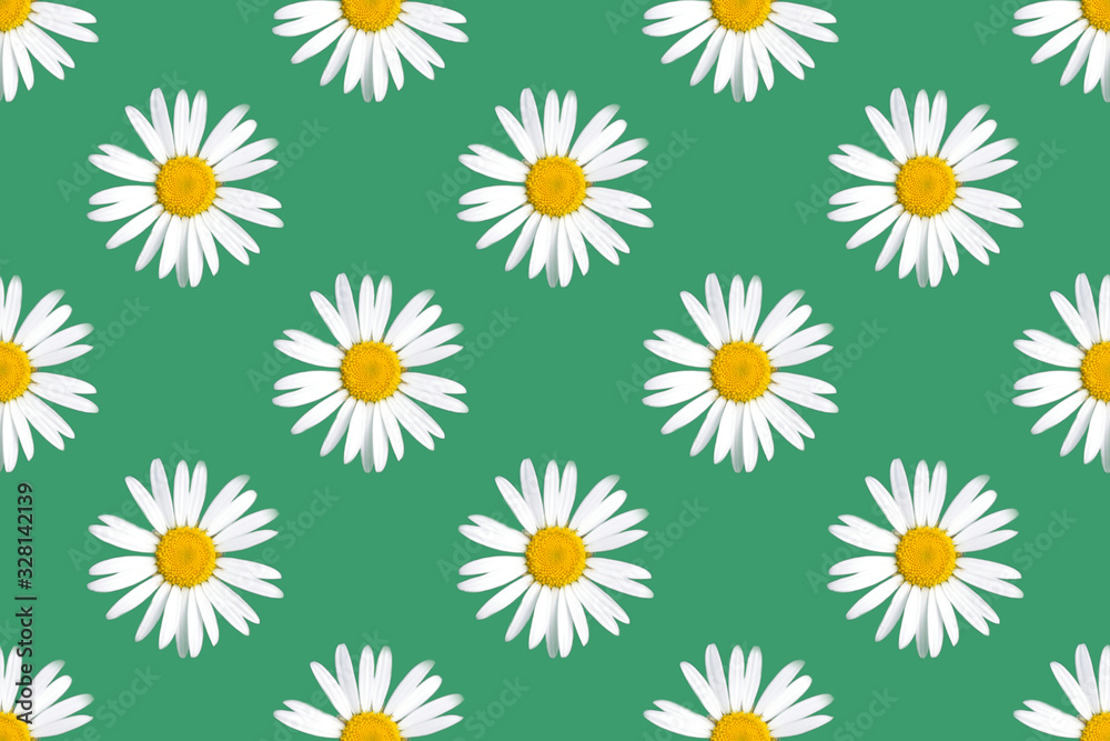 Seamless diagonal pattern from chamomiles with white petals and yellow stamens on green background
