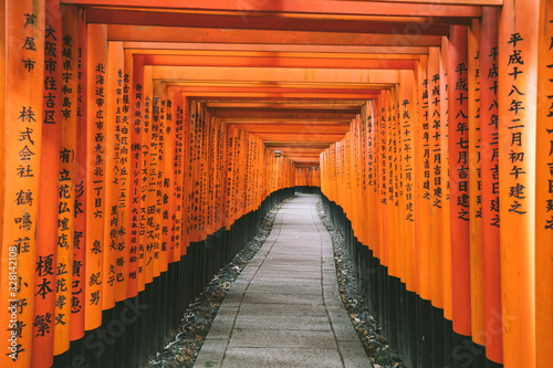 path through orange gates photo