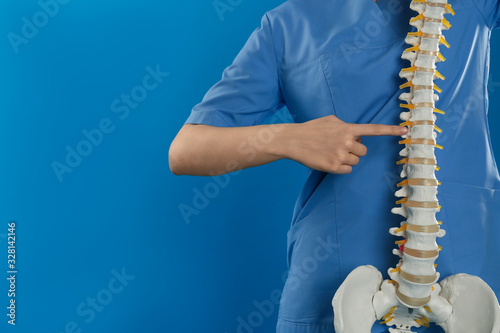 Female orthopedist with human spine model against blue background, closeup. Space for text photo