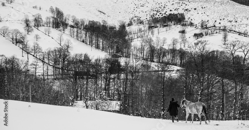 Winter scape with horse and woman
