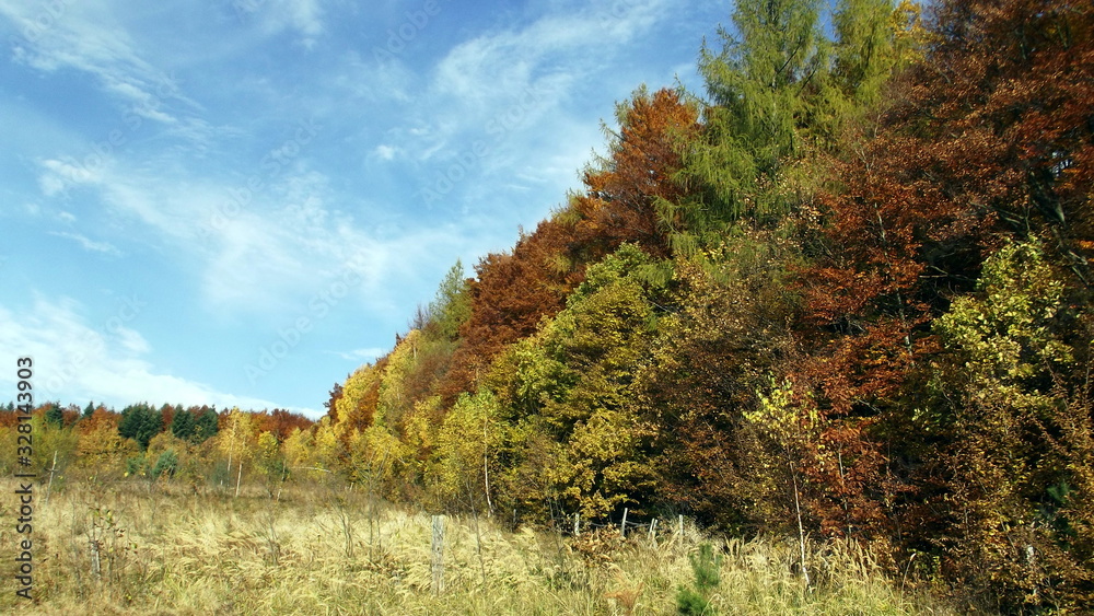 Beautiful nature in autumn