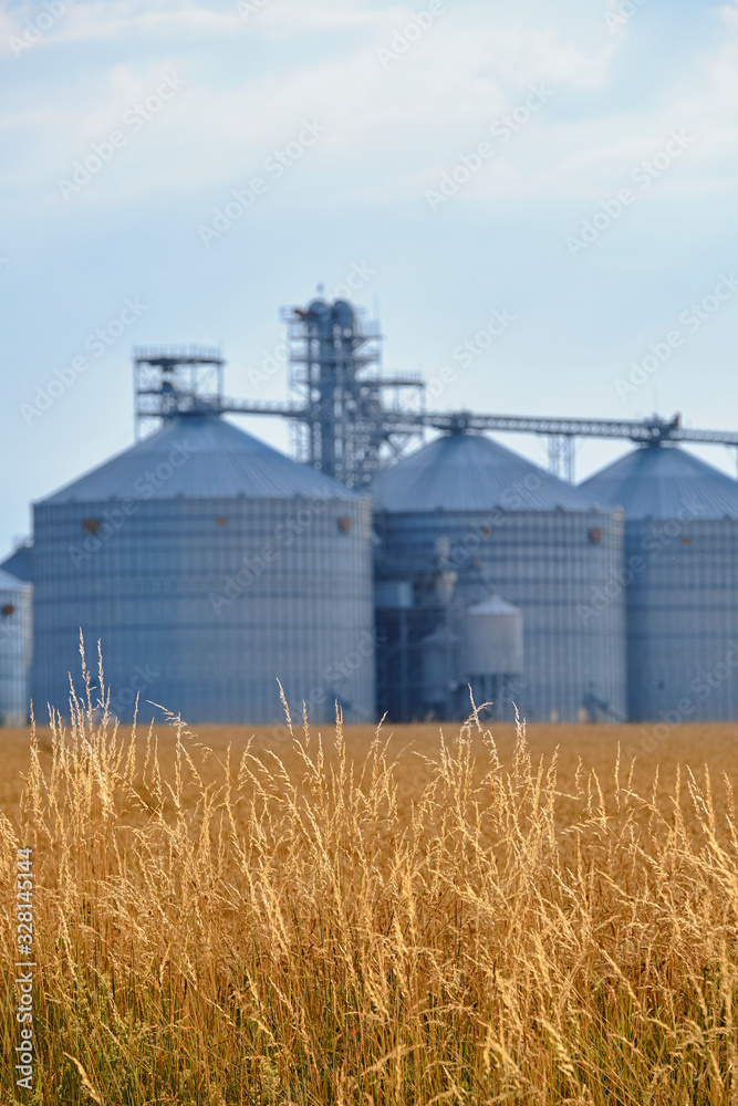 Wheat field with complex silo installations Wheat field with complex silo installations