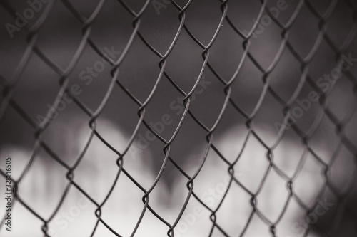 Fence grid on the background of the lake