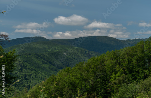 Leaf green forests with mountains near Kysak station in summer hot day
