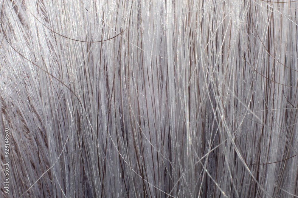 human hair in closeup details human hair in closeup details