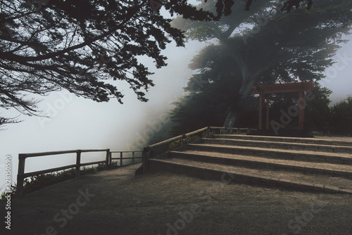 mountain fog