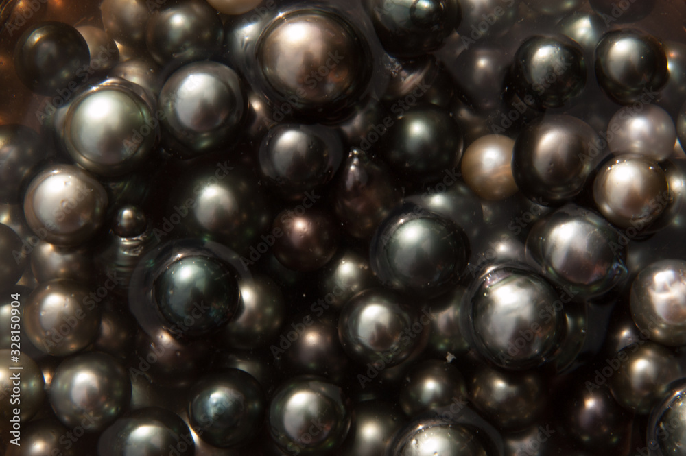 Black pearls in sea water Black pearls in sea water