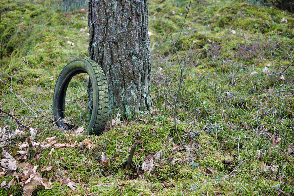 llegal garbage thrown out in the autumn forest. Example of dumping hazardous waste old mossy tire. llegal garbage thrown out in the autumn forest. Example of dumping hazardous waste old mossy tire.